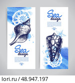 Seashell banners. Sea nautical design. Hand drawn sketch and watercolor illustrations. Стоковая иллюстрация, агентство Ingram Publishing / Фотобанк Лори