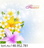 Beautiful flowers background, vector illustration with lilies - flowers, buds and leaves. Стоковая иллюстрация, агентство Ingram Publishing / Фотобанк Лори