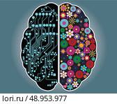 Left and right side of the brain, logic and creativity, vector. Стоковая иллюстрация, агентство Ingram Publishing / Фотобанк Лори