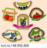 Fresh farm natural organic berries emblems set isolated vector illustration. Стоковая иллюстрация, агентство Ingram Publishing / Фотобанк Лори