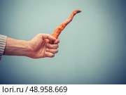 A hand is holding a rotten carrot. Стоковое фото, агентство Ingram Publishing / Фотобанк Лори