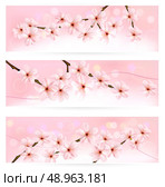 Three spring banners with blossoming tree brunch with spring flowers. Vector. . Стоковая иллюстрация, агентство Ingram Publishing / Фотобанк Лори