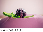 Closeup on a purple jelly pudding with a blackberry and mint leaves on top. Стоковое фото, агентство Ingram Publishing / Фотобанк Лори