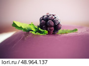 Closeup on a purple jelly pudding with a blackberry and mint leaves on top. Стоковое фото, агентство Ingram Publishing / Фотобанк Лори