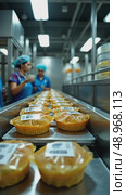 A food processing plant, with stainless steel conveyor belts carrying packaged goods, workers in hairnets monitoring the line under bright light. Стоковое AI-видео, аниматор Sergey Grishin / Фотобанк Лори
