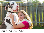 great dane stand up on kid girl shoulders playing together. Стоковое фото, агентство Ingram Publishing / Фотобанк Лори