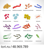 Human intestinal and lungs inflammatory diseases bacteria colony icons set of salmonella tuberculosis abstract isolated vector illustration. Стоковая иллюстрация, агентство Ingram Publishing / Фотобанк Лори