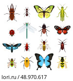 Insects colored decorative icons set with dragonfly beetle butterfly isolated vector illustration. Стоковая иллюстрация, агентство Ingram Publishing / Фотобанк Лори