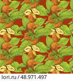 Seamless pattern with highly detailed handdrawn hazelnuts on brown background. Стоковая иллюстрация, агентство Ingram Publishing / Фотобанк Лори