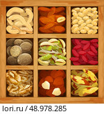 Nuts assorted collection of nutmeg walnut brazil almond in wood box vector illustration. Стоковая иллюстрация, агентство Ingram Publishing / Фотобанк Лори
