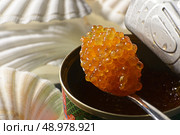 caviar salmon on a teaspoon. Стоковое фото, агентство Ingram Publishing / Фотобанк Лори