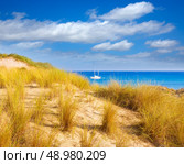 Majorca Cala Mesquida beach in Mallorca Balearic Islands of Spain. Стоковое фото, агентство Ingram Publishing / Фотобанк Лори