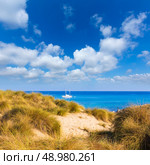 Majorca Cala Mesquida beach in Mallorca Balearic Islands of Spain. Стоковое фото, агентство Ingram Publishing / Фотобанк Лори