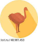 Ostrich icon with shadow in flat design. Стоковая иллюстрация, агентство Ingram Publishing / Фотобанк Лори