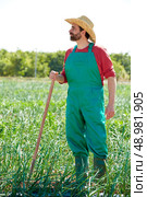 Farmer man working in onion orchard field with hoe tool. Стоковое фото, агентство Ingram Publishing / Фотобанк Лори