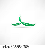 aloe green icon. Стоковая иллюстрация, агентство Ingram Publishing / Фотобанк Лори