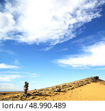  old fossil in  the desert of morocco sahara and rock  stone    sky. Стоковое фото, агентство Ingram Publishing / Фотобанк Лори