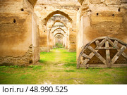 old moroccan granary in the green grass and archway  wall. Стоковое фото, агентство Ingram Publishing / Фотобанк Лори
