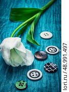 white tulip and buttons for clothing on light blue wooden background. white tulip and buttons. Стоковое фото, агентство Ingram Publishing / Фотобанк Лори