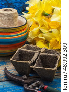 blooming daffodils,peat pots,secateurs on wooden background.Selective focus. Стоковое фото, агентство Ingram Publishing / Фотобанк Лори