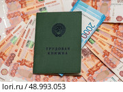 Трудовая книжка и Российские деньги. Стоковое фото, фотограф Игорь Низов / Фотобанк Лори