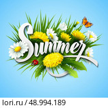 Fresh summer background with grass, dandelions and daisies EPS 10. Стоковая иллюстрация, агентство Ingram Publishing / Фотобанк Лори
