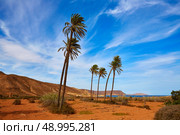 Almeria in Cabo de Gata Playazo Rodalquilar beach at Mediterranean Spain. Стоковое фото, агентство Ingram Publishing / Фотобанк Лори
