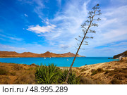 Almeria Playa de los Genoveses beach in Cabo de Gata Spain. Стоковое фото, агентство Ingram Publishing / Фотобанк Лори