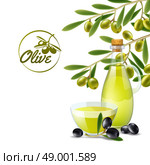 Olive oil pourer backdround. Olive oil pourer with branch of green olives decorative background poster print abstract vector illustration. Стоковая иллюстрация, агентство Ingram Publishing / Фотобанк Лори