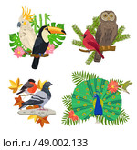 Tropical and forest birds on tree branches with flowers isolated vector illustration. Birds And Flowers Set. Стоковая иллюстрация, агентство Ingram Publishing / Фотобанк Лори