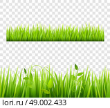 Grass Border Tileable Transparent . Green and bright grass border tileable transparent with plants flat isolated  vector illustration . Стоковая иллюстрация, агентство Ingram Publishing / Фотобанк Лори