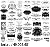 Set of calligraphic and floral design elements can be used for invitation, congratulation. Стоковая иллюстрация, агентство Ingram Publishing / Фотобанк Лори