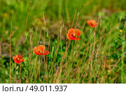 Top quality photo in high resolution. Стоковое фото, агентство Ingram Publishing / Фотобанк Лори