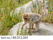 High resolution photo in best quality. Стоковое фото, агентство Ingram Publishing / Фотобанк Лори