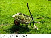 Wheelbarrow filled with weed in garden. Стоковое фото, агентство Ingram Publishing / Фотобанк Лори