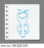 Male reproductive system sketch. Стоковая иллюстрация, агентство Ingram Publishing / Фотобанк Лори