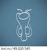 Male reproductive system sketch. Стоковая иллюстрация, агентство Ingram Publishing / Фотобанк Лори