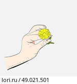 Female hand with camomile. Стоковая иллюстрация, агентство Ingram Publishing / Фотобанк Лори