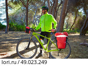 MTB Biker Bicycle touring in a pine forest with pannier racks and saddlebag. Стоковое фото, агентство Ingram Publishing / Фотобанк Лори