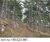 Прогулка по тропе Палласа. Крым. Редакционное фото, фотограф Татьяна Т / Фотобанк Лори