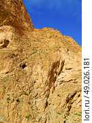 in todra africa morocco the atlas dry mountain. Стоковое фото, агентство Ingram Publishing / Фотобанк Лори