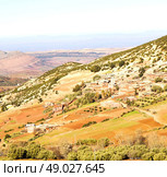dades valley in atlas moroco africa ground tree  and nobody. Стоковое фото, агентство Ingram Publishing / Фотобанк Лори