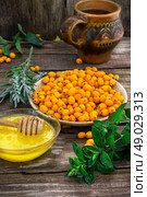 Medicinal the decoction of buckthorn berries. Ripe berries of sea buckthorn in  saucer on wooden background. Стоковое фото, агентство Ingram Publishing / Фотобанк Лори