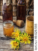 Elecampane tincture. infusion of inflorescences and roots of the medicinal plant Inula on the wooden table next mortar and pestle.Photo tinted.Selective focus. Стоковое фото, агентство Ingram Publishing / Фотобанк Лори