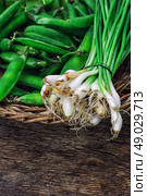 leek and green peas in basket in rustic style. Стоковое фото, агентство Ingram Publishing / Фотобанк Лори