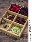 box collected in the fall of medicinal herbs for teas and medicinal teas. Стоковое фото, агентство Ingram Publishing / Фотобанк Лори