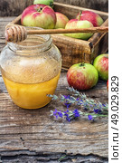 Honey Spas. Still life from the harvest of ripe apples and honey to the Church celebration of the apple feast day.Photo tinted. Стоковое фото, агентство Ingram Publishing / Фотобанк Лори