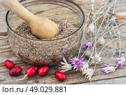 Cornel berries with herbaceous medicinal shrub. scattered medicinal Cornel berries and bowl of seeds of Heather on wooden table. Стоковое фото, агентство Ingram Publishing / Фотобанк Лори
