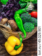 mushrooms and broccoli,leeks,lettuce, peppers in basket in rustic style. Стоковое фото, агентство Ingram Publishing / Фотобанк Лори