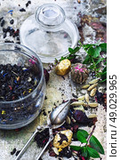 tea brew. Various dry tea brew on iron background with tea paraphernalia. Стоковое фото, агентство Ingram Publishing / Фотобанк Лори